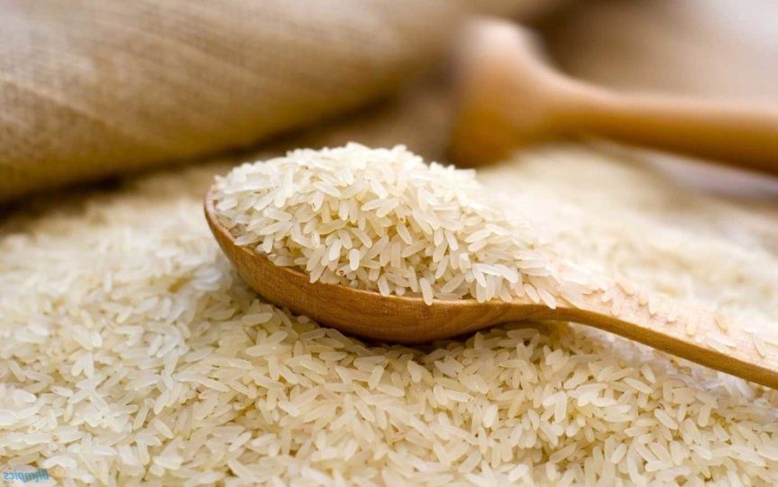 Rice-Production.jpg