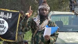 Army recover Shekau’s Qur’an, flag in Sambisa – Official