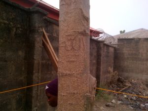 The miracle tree in Ogun: An eyewitness account