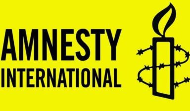 Amnesty plotting to destabilize Nigeria- Global Watch