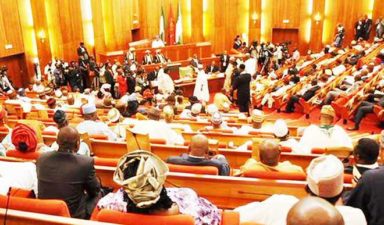 Senate to block ‘outsiders’ from heading Customs