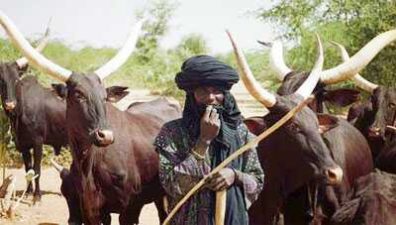 Southern Kaduna crisis not religious — Cattle Breeders group says