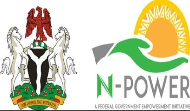 N-power graduates get additional N900m monthly