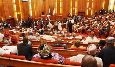 Senate takes anti-Magu war to Presidency
