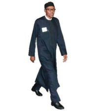 With successes over war on insurgency, Buhari is good to go for second term – Group