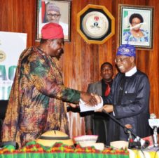 FG hints N300m BoI’s credit will create 200,000 jobs for artists