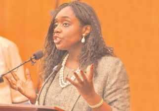 REO Launch: Adeosun calls on African leaders to summon political will in tackling challenges