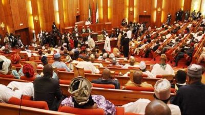 BREAKING: Senate steps down presentation of budget report