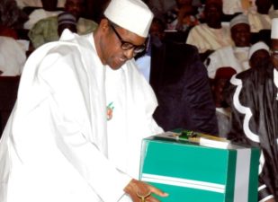 APC lawmakers win NASS plenary votes, clearing way for Buhari’s 2019 budget presentation