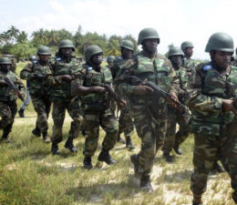 Army kills 10 insurgents, recovers 52 cows in Borno