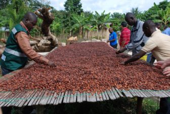 Buhari sad Nigeria drops from 4th global cocoa producing country to 7th