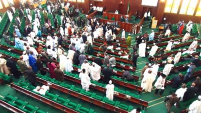 Rowdy session in Green Chamber, as 2 PDP Reps defect to APC