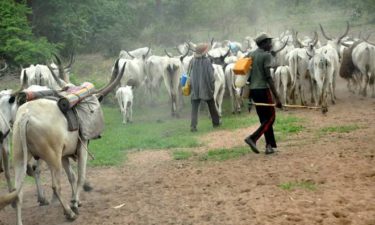 FG’s committee on herders/farmers crisis visits Benue