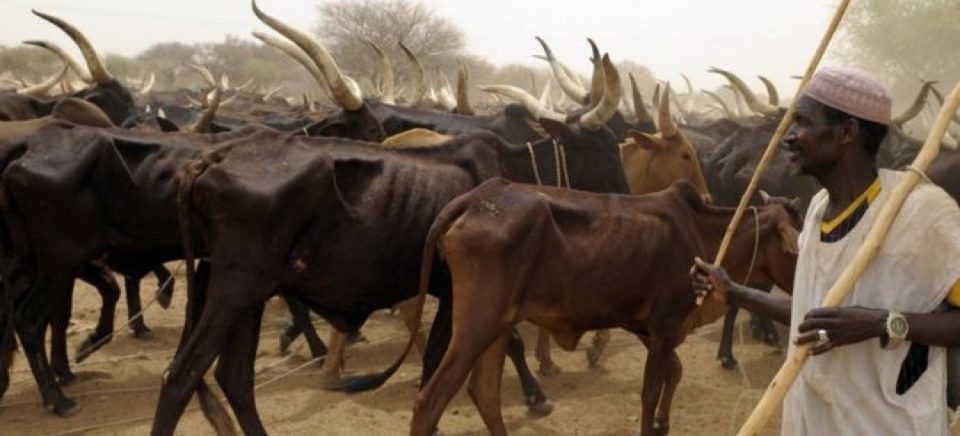 Fulani-herder.jpg