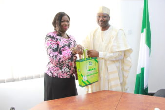 Hope rises for Diaspora voting as Dabiri-Erewa confers with INEC Chairman Yakubu