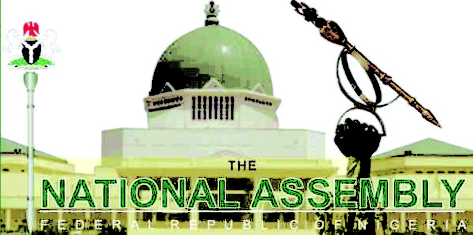 national-assembly1-copy.jpg