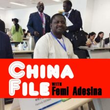 Similitudes between Nigeria and China, by Femi Adesina
