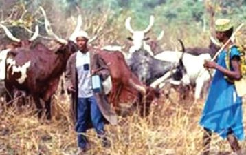Fulani herders have right to do business anywhere in Nigeria, by Fredrick Nwabufo