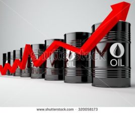 Oil rises on expected stockpile drop