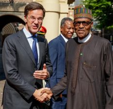 Nigeria welcomes Netherlands support on Lake Chad
