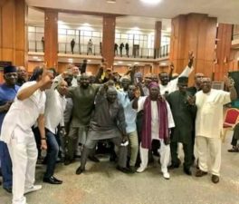 NASS SIEGE: Presidential aide demands apology from PDP/security agents-support media