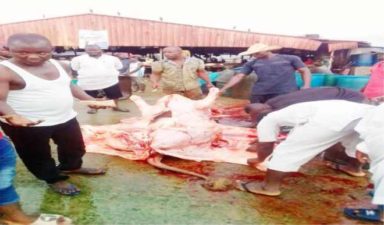 Day NTIC Foundation slaughtered 90 cows for less privilege public at Sallah
