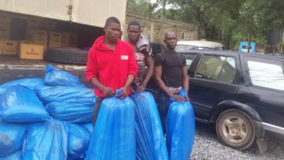 Ogun Police arrest 3 with 40 bags Indian hemp