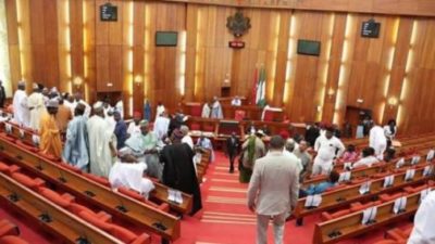 Commotion in Nigerian Senate, as PDP Minority Leader calls for Buhari’s Social Interventional Programme probe