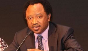 PRESIDENCY: Shehu Sani suggests constitutionally recognised North-South zoning to sustain Nigeria