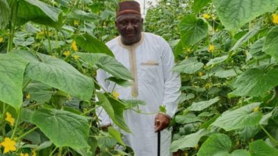 Letter from Africa: Nigeria’s farmer king