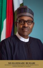 Our focus is to create jobs, says President Buhari