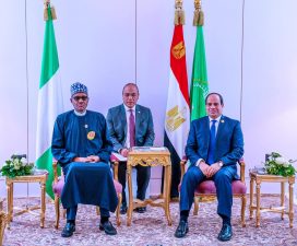 President Buhari, Egyptian President parley on counter-terrorism