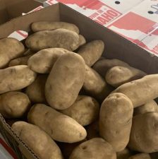 DEFENDER HEALTH: What happens when you eat potatoes every day?