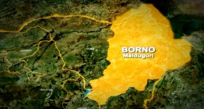 Boko Haram waylay 60 rice farmers in Borno, kill 43