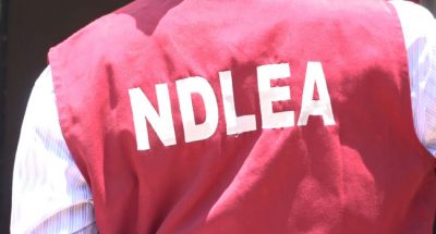 NDLEA arrests another suspected cocaine trafficker at Lagos Airport