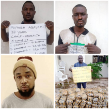 NDLEA arrests security officer, 6 others ‘selling drugs to varsity students, cultists’ in Ogun