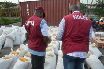 NDLEA recovers 137.754 kilograms of illicit drugs and cash, in Lagos, Kebbi and Kano