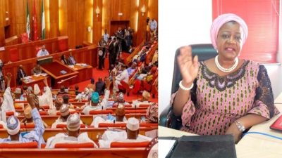 APC-led Senate rejects President Buhari’s nominee, Lauretta Onochie, as INEC Commissioner, jubilating PDP asked not to rejoice yet