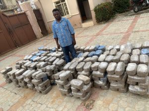NDLEA busts interstate drug cartels in Kogi, Nasarawa, Benue, recovers 843kg skunk, cocaine