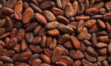Nigeria’s cocoa export to U.S. rises by 352%