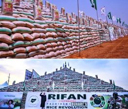 Fresh fake news against Buhari’s rice pyramids by Twitter user busted