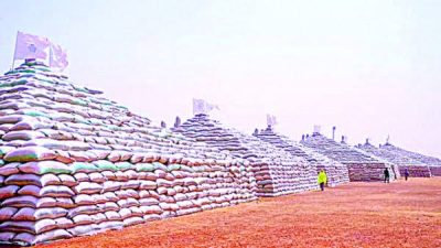 President Buhari set to unveil rice pyramids in Abuja Today