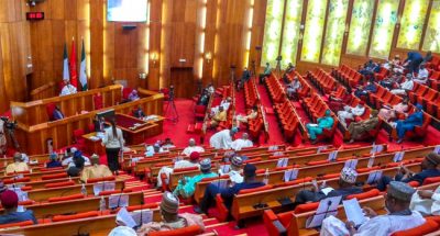 Declare identified leaders of terrorists wanted, Nigeria’s Senate tells FG