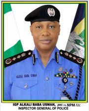 NIGERIA: IGP bans use of unapproved uniforms, outfits on routine operations, orders strict compliance