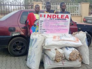 NDLEA recovers 294,440 Tramadol tabs, others in Delta, Bauchi, MMIA