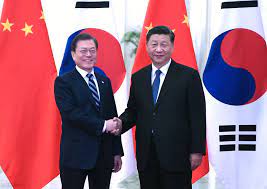 China, South Korea may become main partners on AZRF projects, expert says