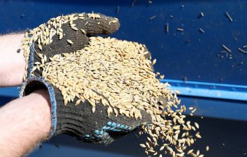 Russia can offer 25m tonnes of grain for export starting on August 1 — UN envoy