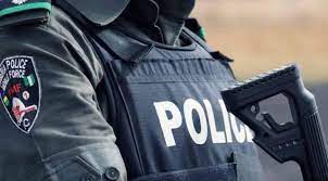 Police kill two gunmen enforcing sit-at-home order in Anambra