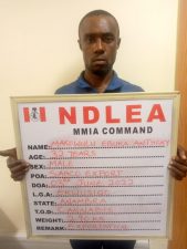 US, Dubai-bound drugs seized at Lagos airport, as NDLEA arrests 39 in Abuja raids
