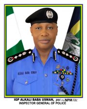 INTERNAL SECURITY: IGP bans use of spy number plates nationwide